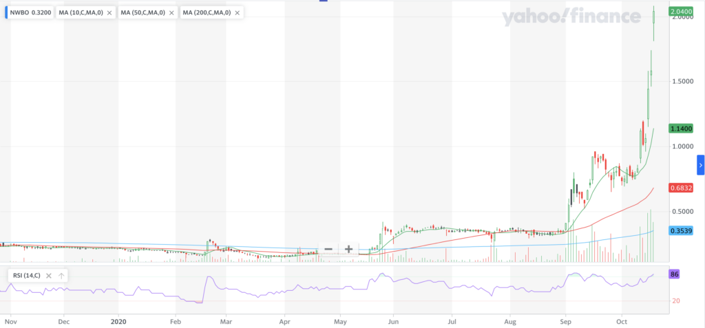 Northwest Biotherapeutics, Inc. NWBO Stock Technical Performance For The Last Year