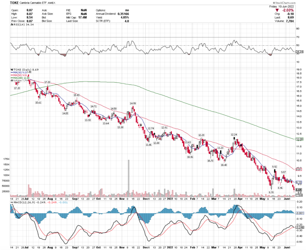 TOKE ETF - Cambria Cannabis ETF's Technical Performance Over The Last Year