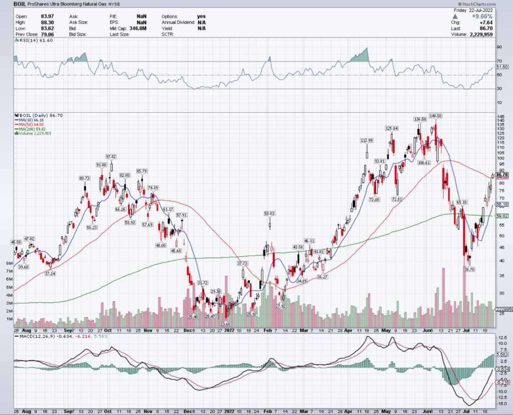 BOIL ETF - ProShares Ultra Bloomberg Natural Gas ETF's Technical Performance Over The Last Year