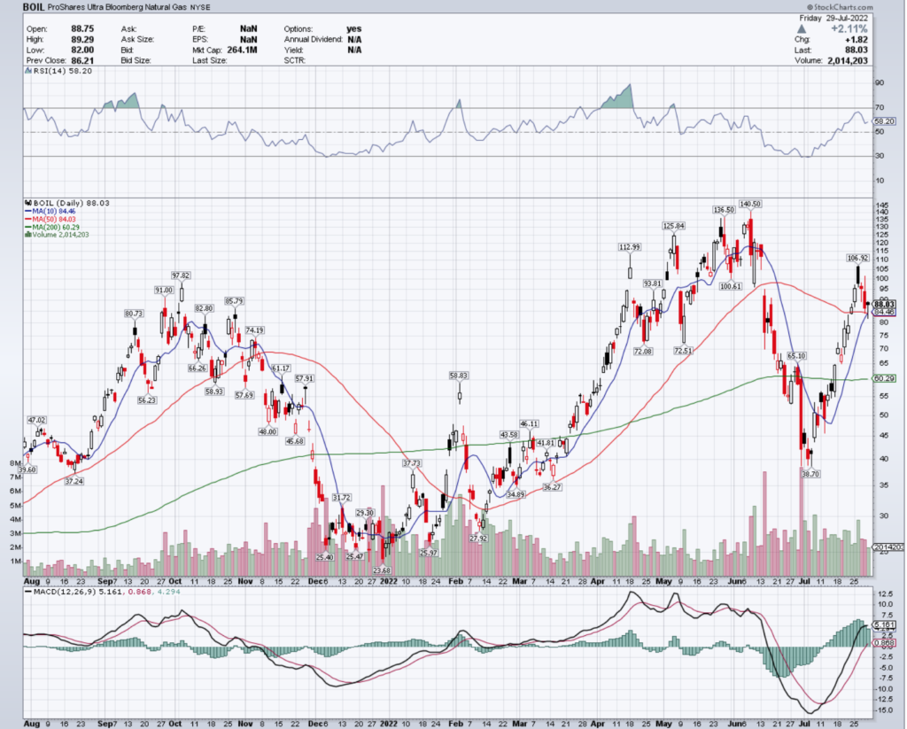 BOIL ETF - ProShares Ultra Bloomberg Natural Gas ETF's Technical Performance Over The Last Year