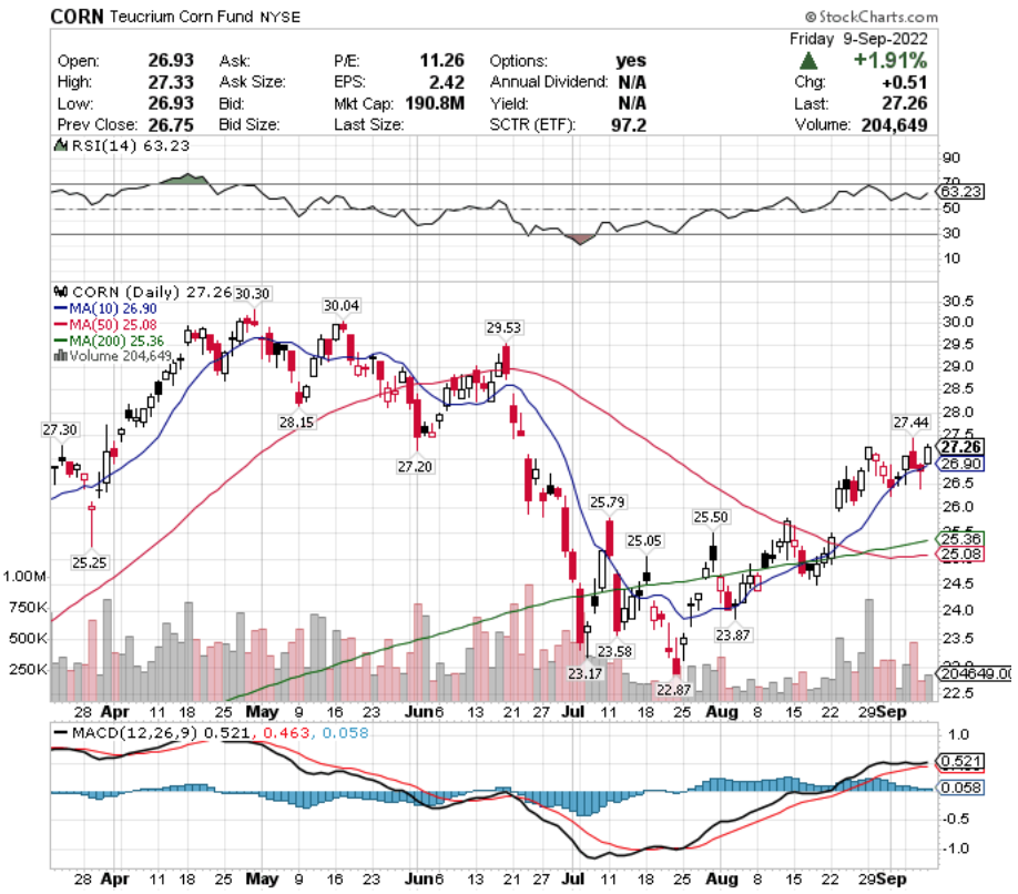 CORN ETF - Teucrium Corn Fund ETF's Technical Performance Over The Last Year