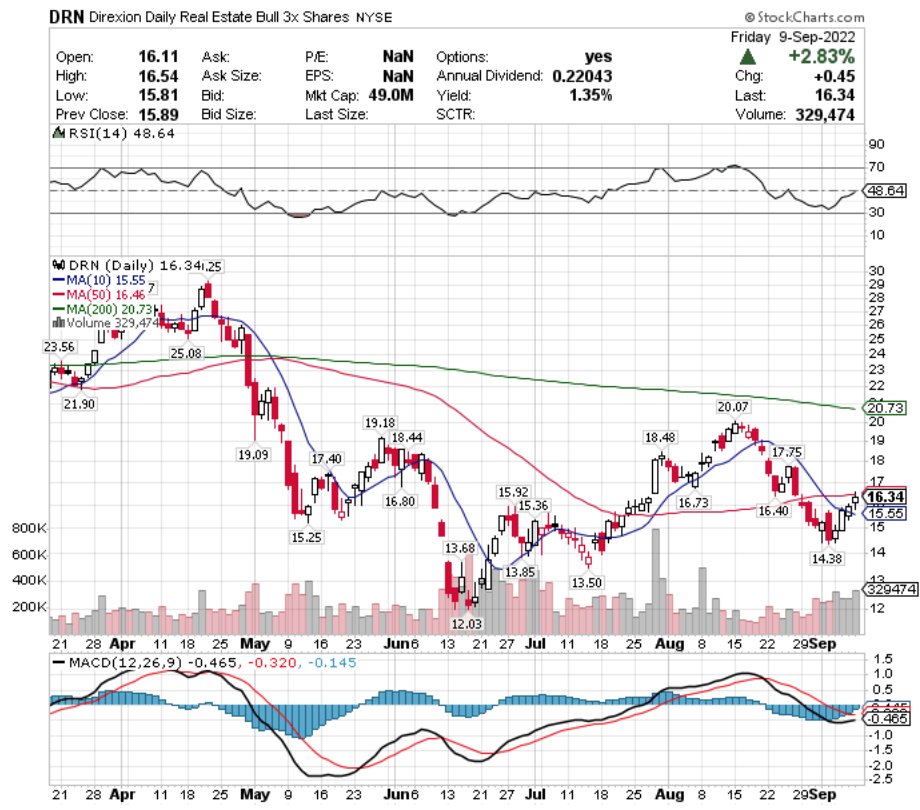 DRN ETF - Direxion Daily Real Estate Bull 3x Shares ETF's Technical Performance Over The Last Year