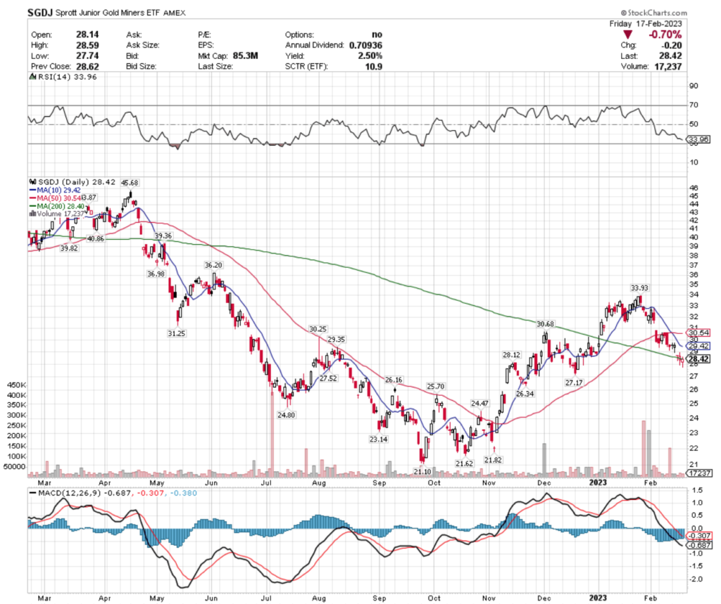 SGDJ ETF - Sprott Junior Gold Miners ETF's Technical Performance Over The Past Year