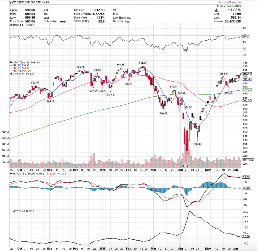 SPY ETF - SPDR S&P 500 ETF's Technical Performance Over The Past Year